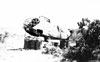 Click For Enlargement