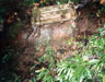 Click For Enlargement