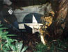 Click For Enlargement