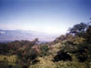 Click For Enlargement