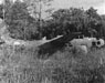 Click For Enlargement