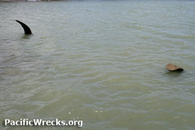 PacificWrecks.com
