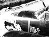 Click For Enlargement