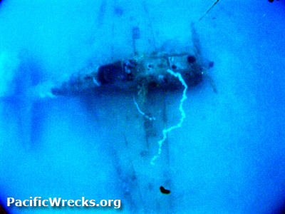 PacificWrecks.com