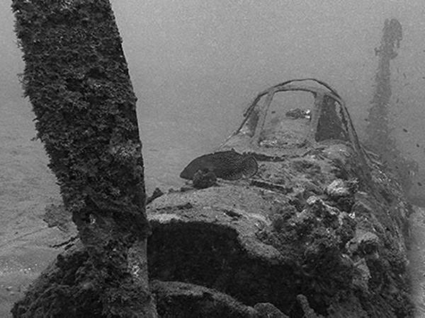 PacificWrecks.com