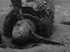 Click For Enlargement