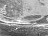 Click For Enlargement