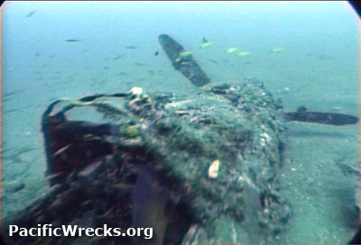 PacificWrecks.com