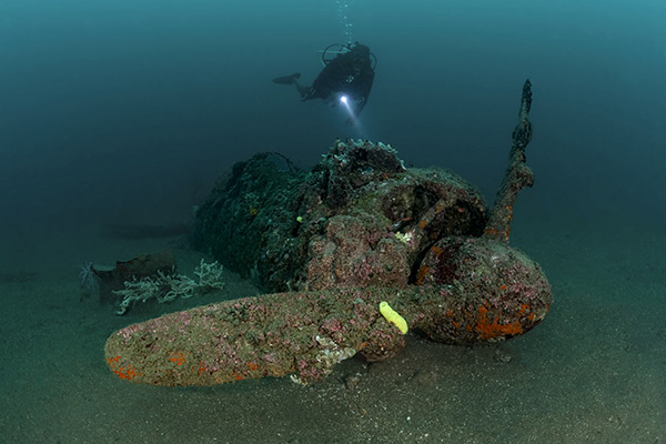 PacificWrecks.com