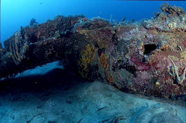 PacificWrecks.com