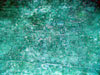 Click For Enlargement