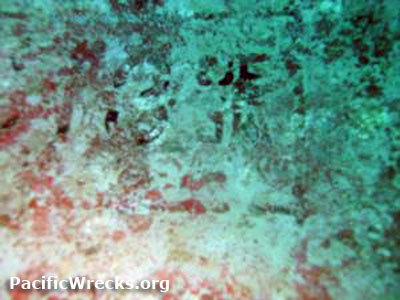 PacificWrecks.com