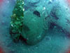Click For Enlargement