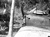 Click For Enlargement