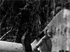 Click For Enlargement