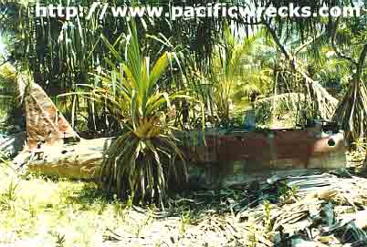 PacificWrecks.com