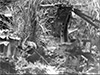 Click For Enlargement