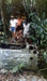 Click For Enlargement