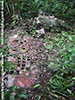 Click For Enlargement