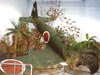 Click For Enlargement