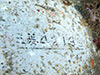 Click For Enlargement