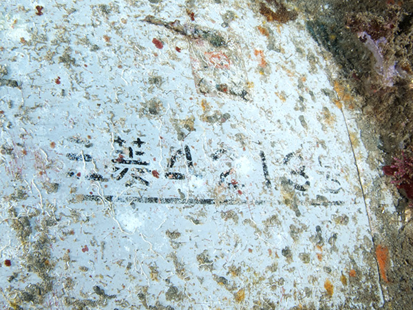 PacificWrecks.com