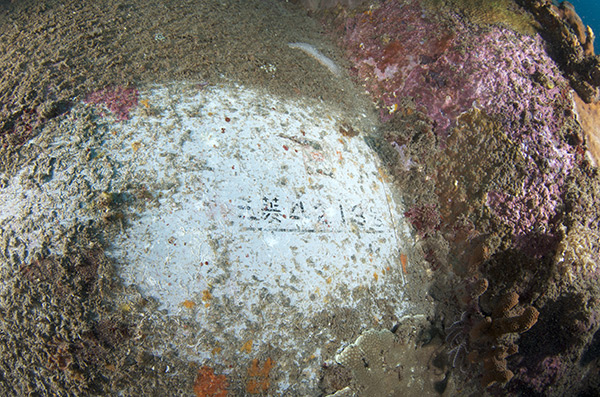 PacificWrecks.com