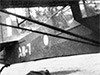 Click For Enlargement