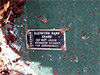 Click For Enlargement