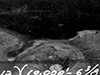 PacificWrecks.com