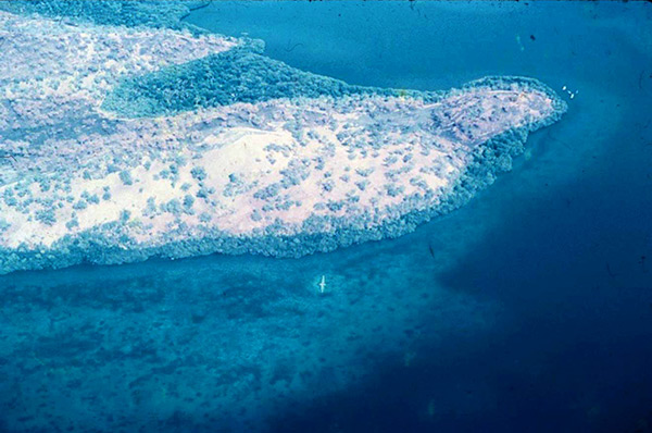 PacificWrecks.com