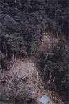 Click For Enlargement