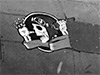 Click For Enlargement