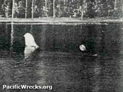 PacificWrecks.com