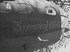 Click For Enlargement