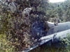 Click For Enlargement