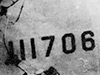 Click For Enlargement