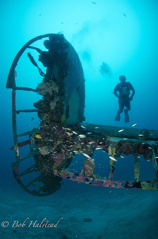 PacificWrecks.com