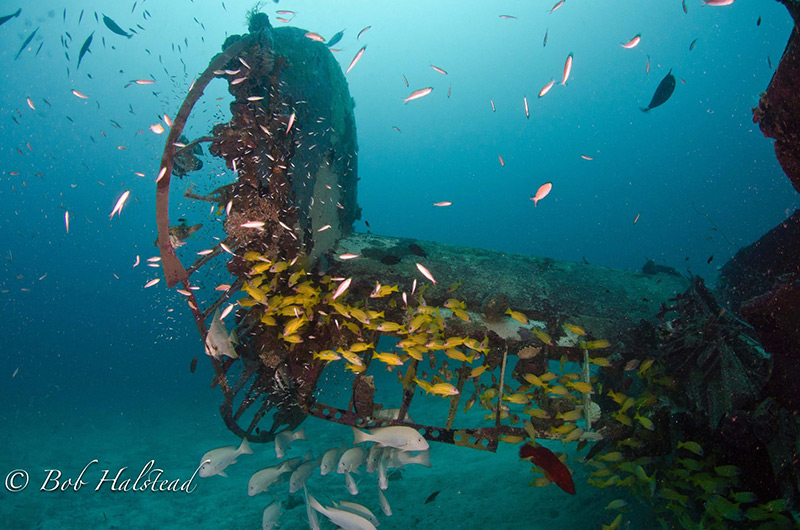 PacificWrecks.com