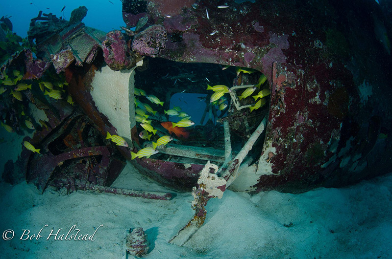 PacificWrecks.com