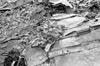 Click For Enlargement