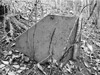 Click For Enlargement