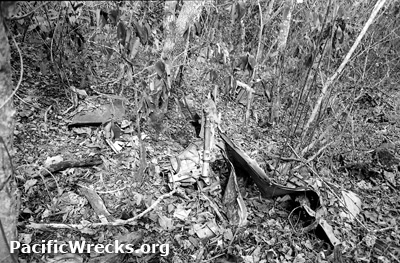 PacificWrecks.com