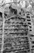 Click For Enlargement