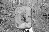 Click For Enlargement
