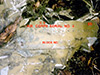 Click For Enlargement