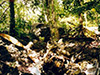 Click For Enlargement