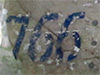 Click For Enlargement