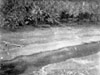Click For Enlargement