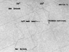 Click For Enlargement